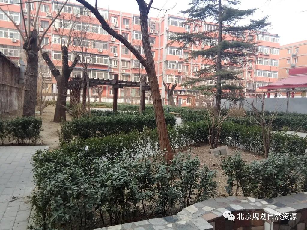 劲松小区试点改造,劲松老旧小区改造