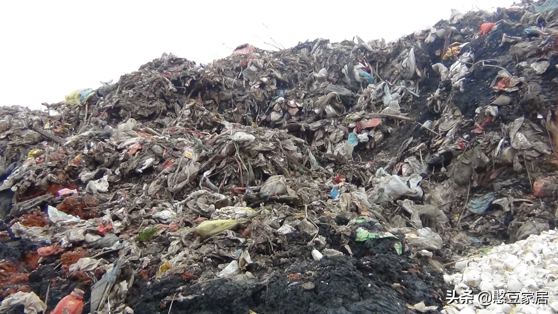 比Angelababy开眼角还可怕的事情，这里的垃圾堆成山，恶臭漫天！