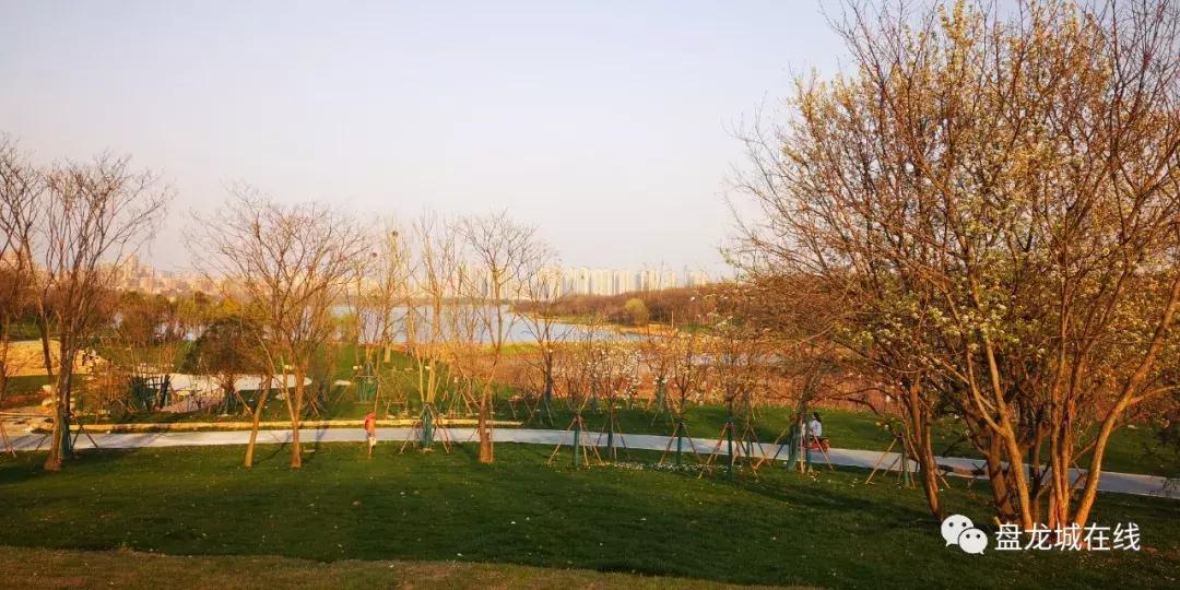 武汉一路向前,武汉一路向北江汉路