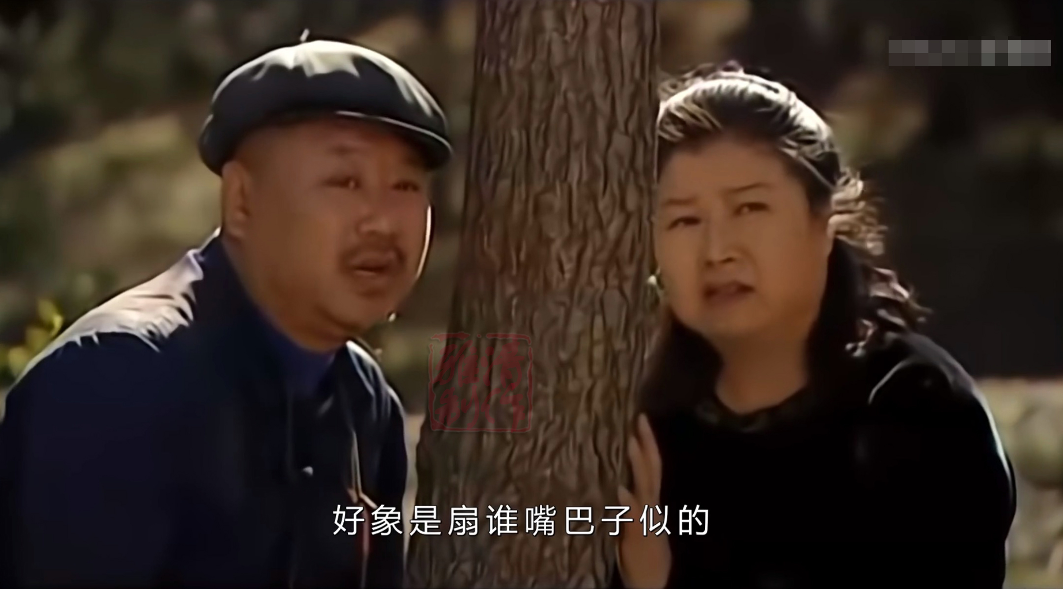 刘老根二奎赵本山范伟,刘老根二奎和赵本山关系