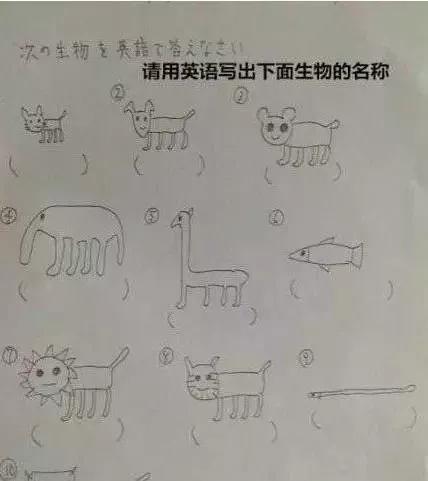 当代老师图鉴电影,中国当代老师现状