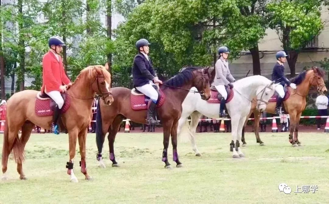 上海10大体育特色学校,上海十大特色中学