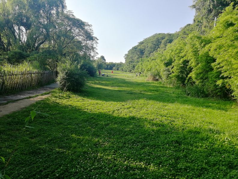 国证2000指数基金etf,etf指数型基金是什么意思