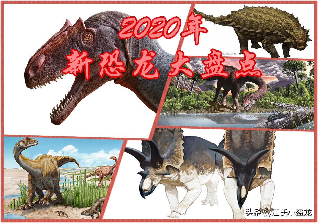 古生物时代有多少种恐龙,人类已经发现了多少恐龙种类