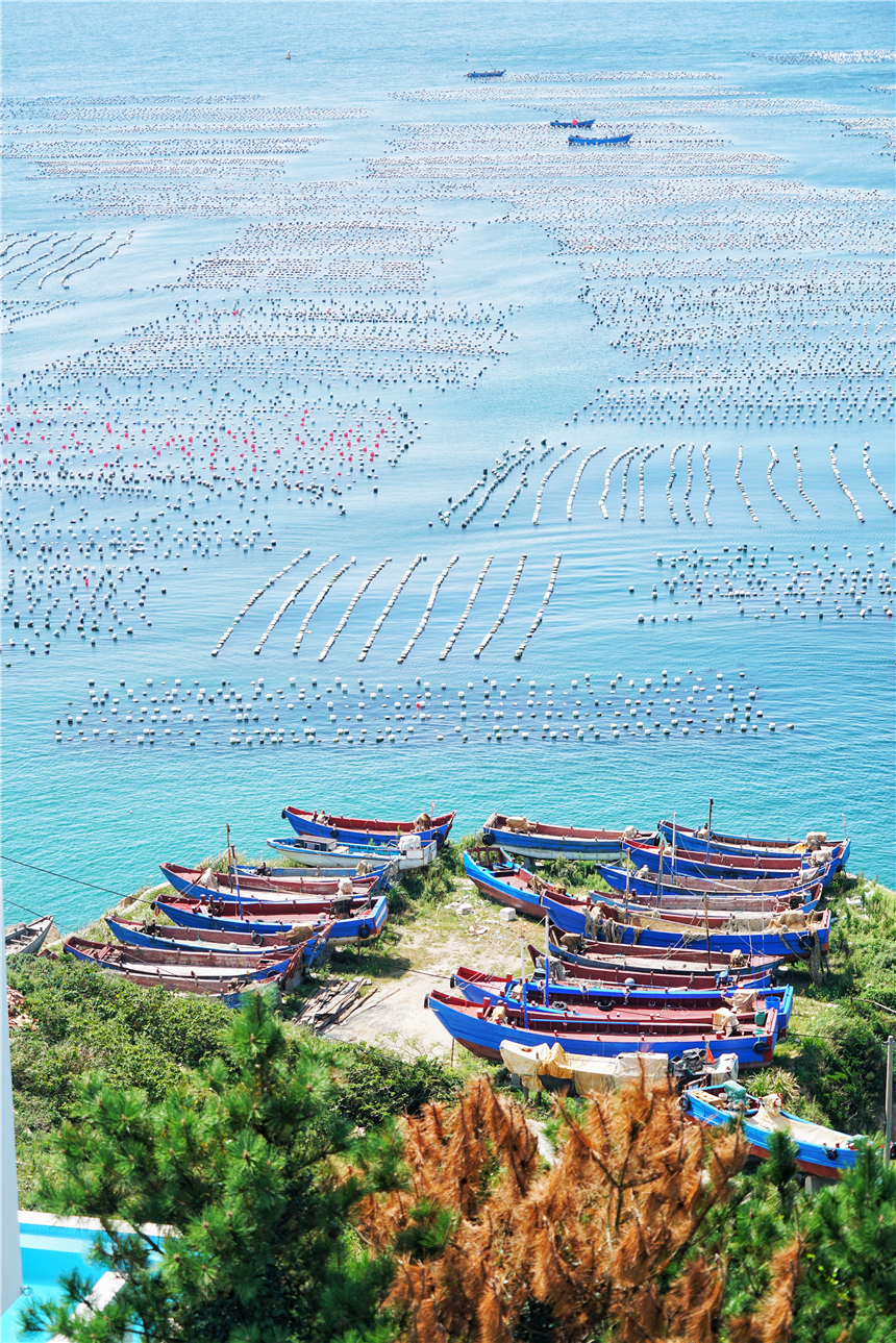 嵊泗旅游美食攻略,嵊泗攻略3天2夜美食推荐