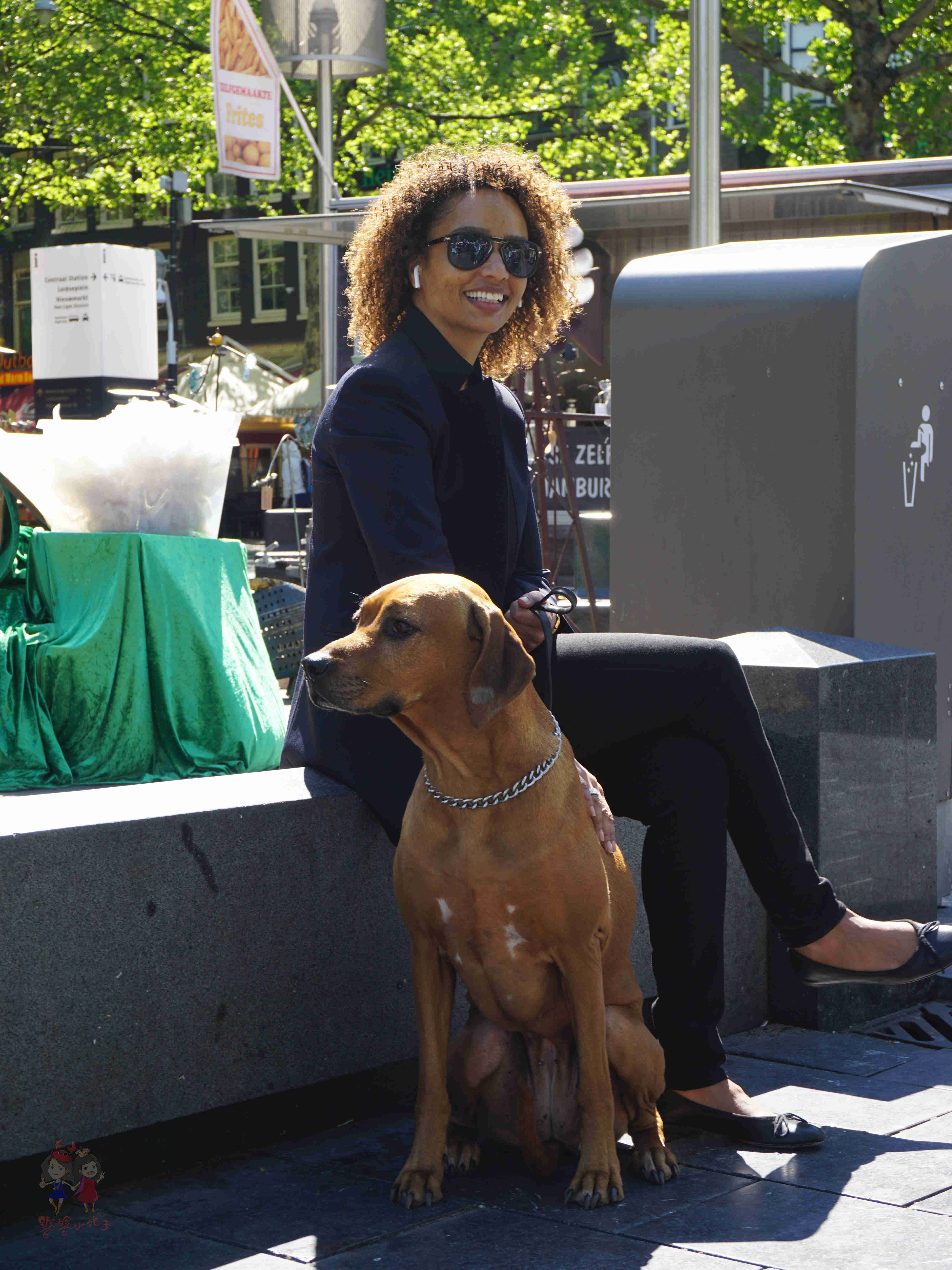 阿姆斯特丹暴走一日游,暴走阿姆斯特丹