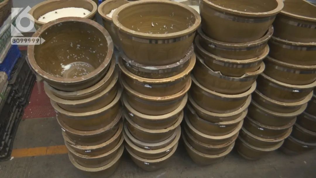 高温40度什么预警,40以上高温