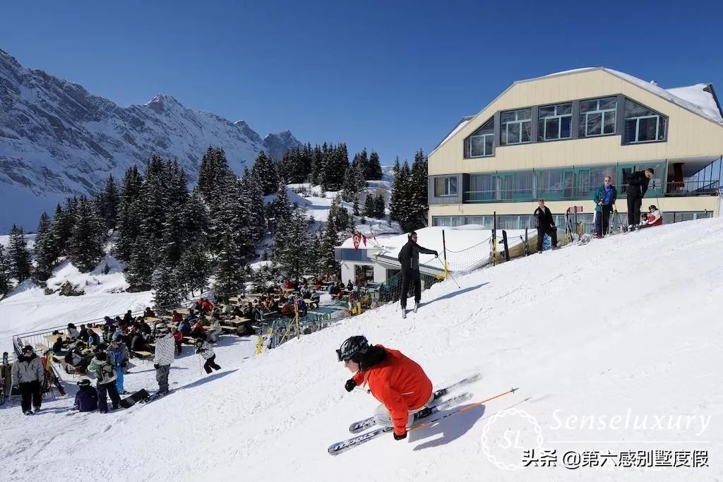 中国天才少女入籍韩国为韩国夺冠,归化的滑雪天才少女