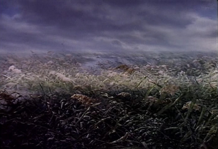 沙家浜真实地点,真正的沙家浜在哪里