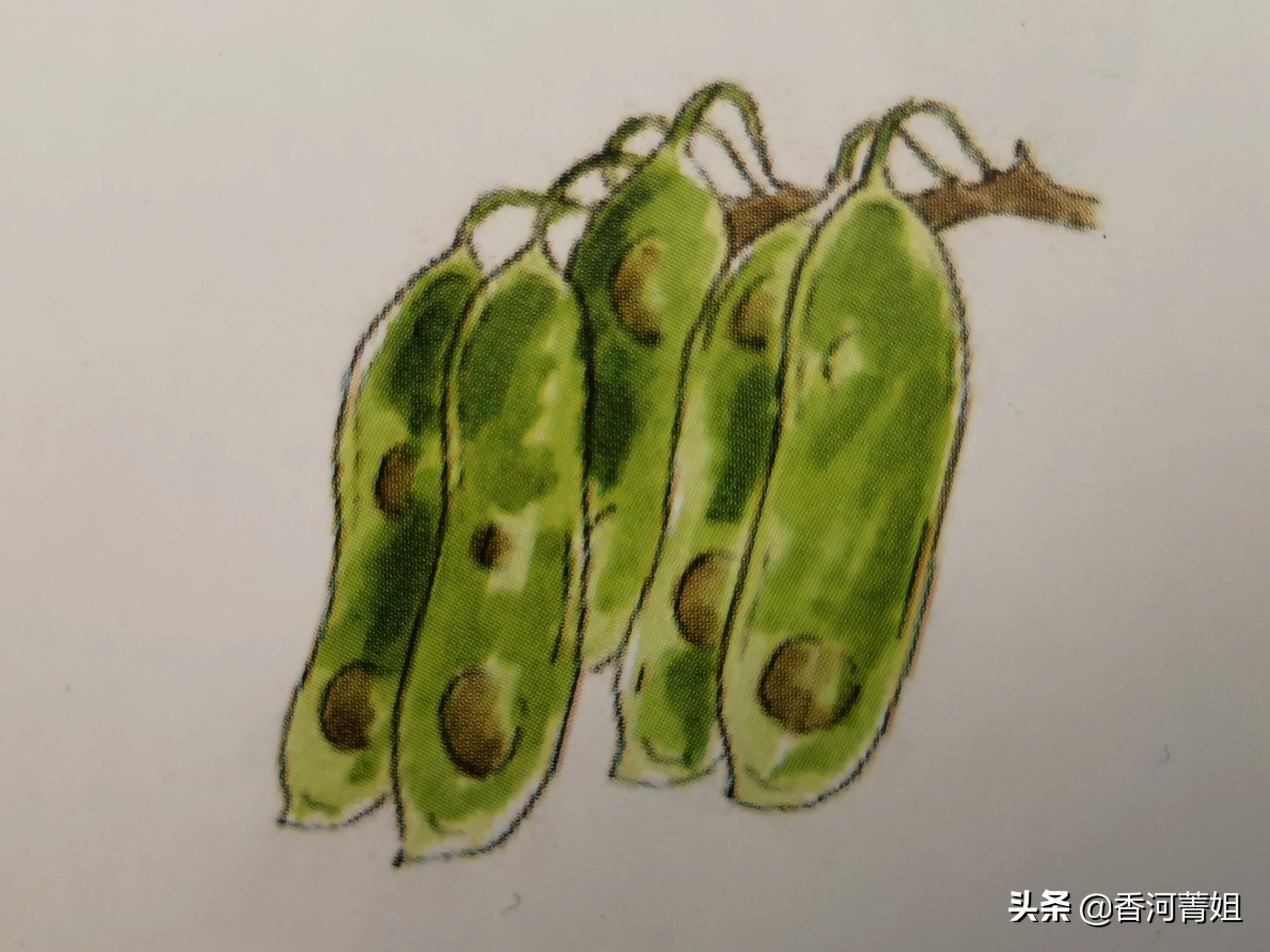 硬木巴西酸枝,巴西黄硬木