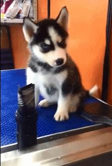 不联系的同学借钱怎么高情商回复,怎么回复借钱的同学