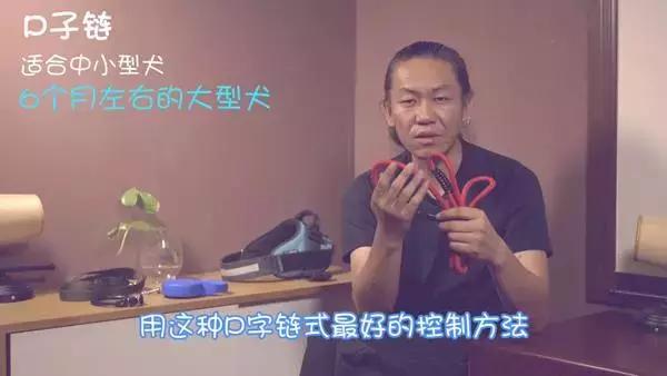 狗狗牵引带,狗狗防爆冲牵引绳怎么佩戴