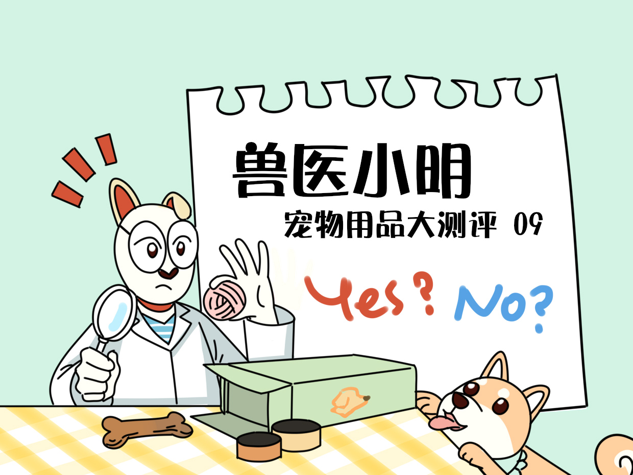 铲屎官测评,铲屎官必看神器