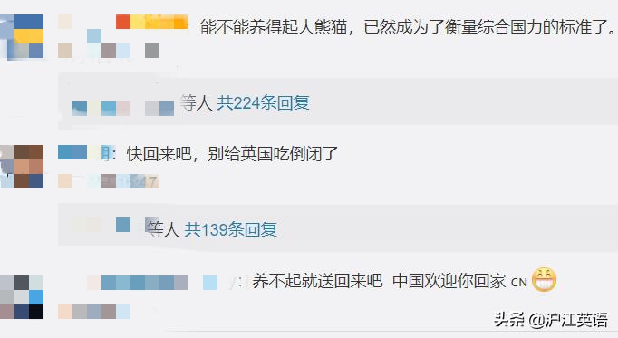 外国疫情下的大熊猫,英国大熊猫被送回中国