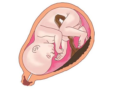 孕36周到37周有什么检查,孕36周各项发育指标对照表