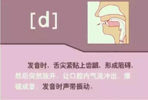 英语音标48个发音谐音表图片,英语音标发音48个教学视频