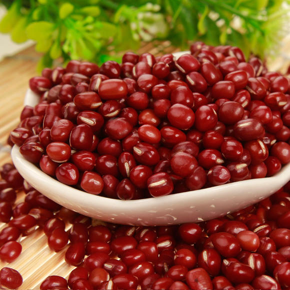 红小豆茎腐病特效药,红小豆枯萎病