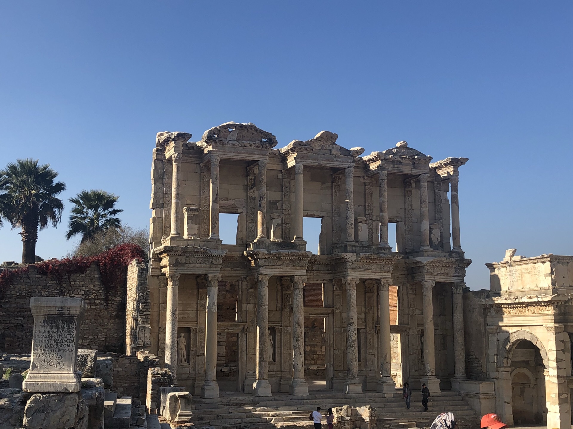 穷养猫vs富养猫的视频,穷养狗vs富养狗