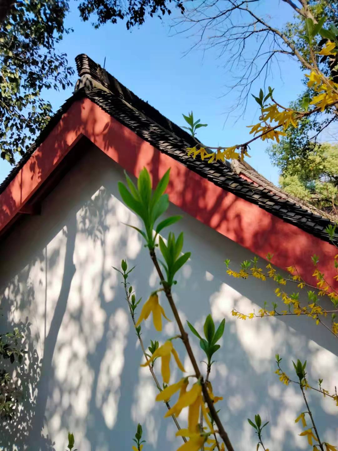 吴山景区好玩吗多少钱,吴山最漂亮的景点