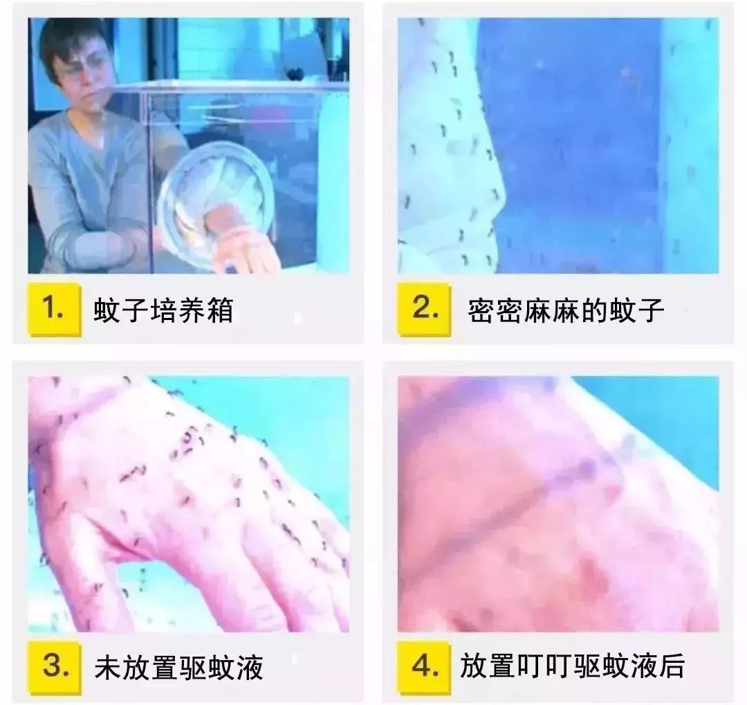 日本的变态杀蚊子神器,日本蚊子驱蚊神器