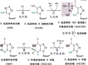 怎样知道痛风尿酸偏高,怎样知道有痛风结晶