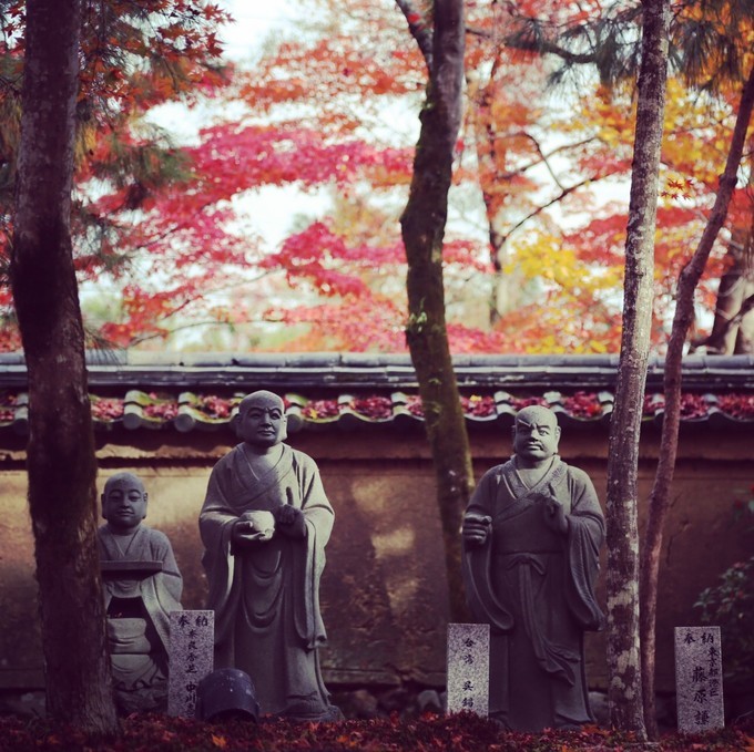 日本京都枫叶季旅游攻略,日本关西赏枫旅游攻略