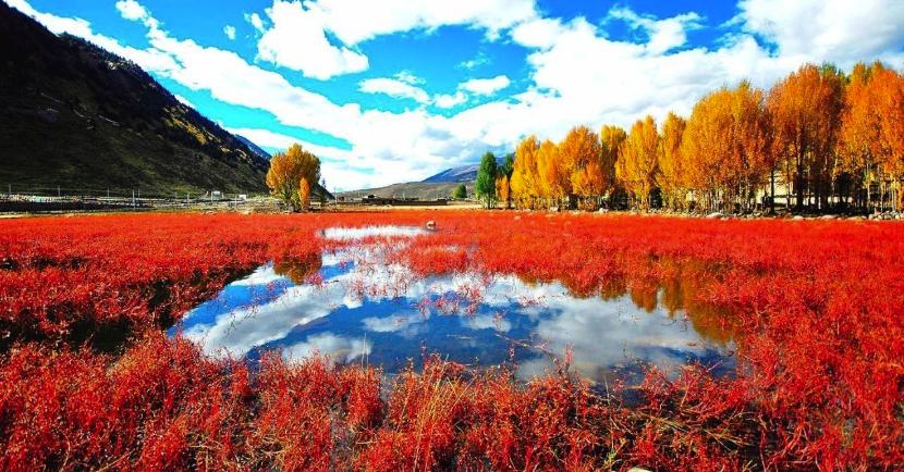 去稻城亚丁路过七十二道拐吗,去稻城亚丁的路况怎么样