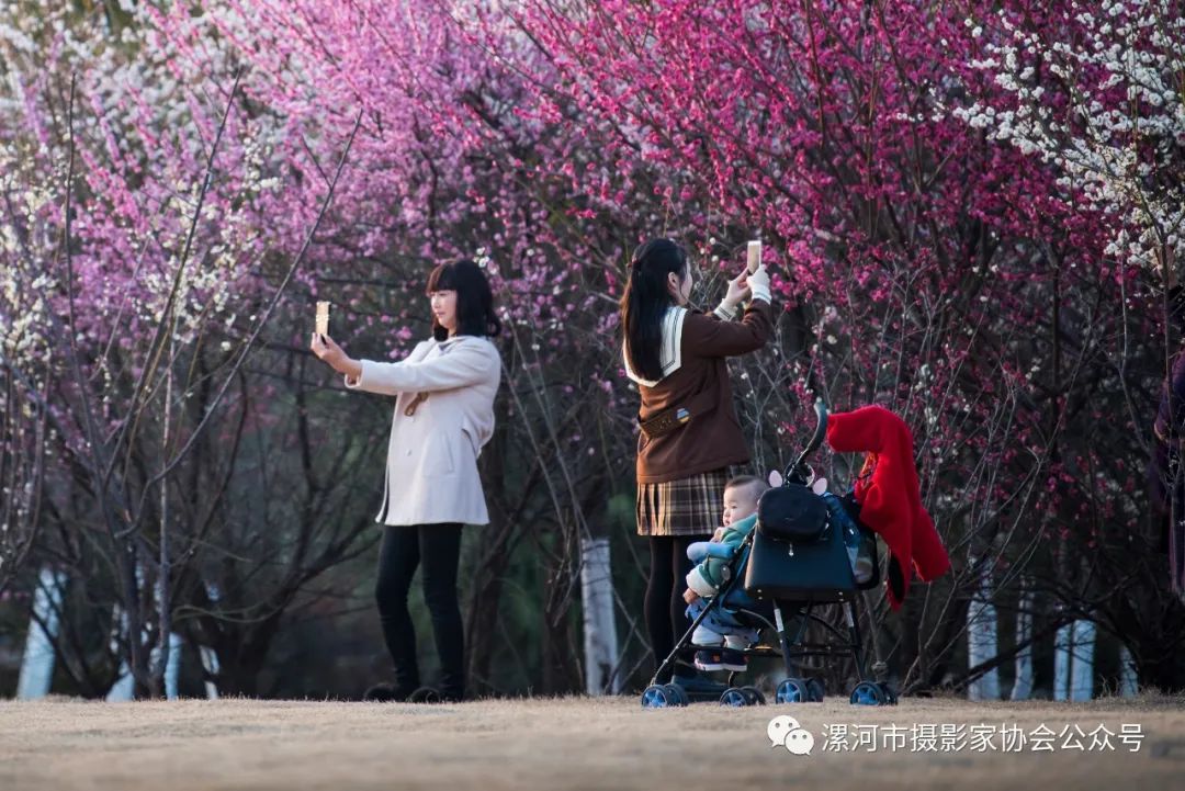 抗击新冠疫情专题展,抗击疫情专题展开展