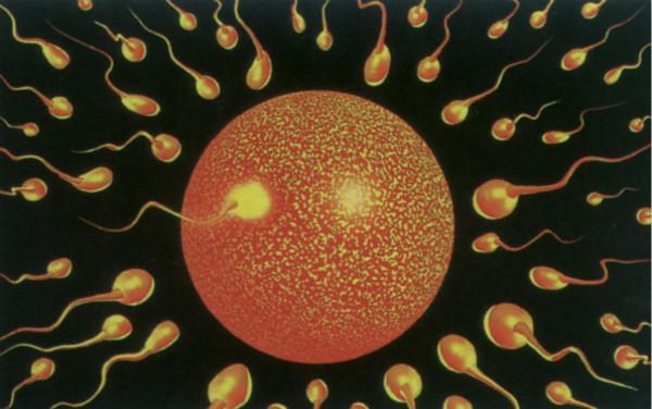 备孕期间需准备哪些药物,备孕需要备哪些药