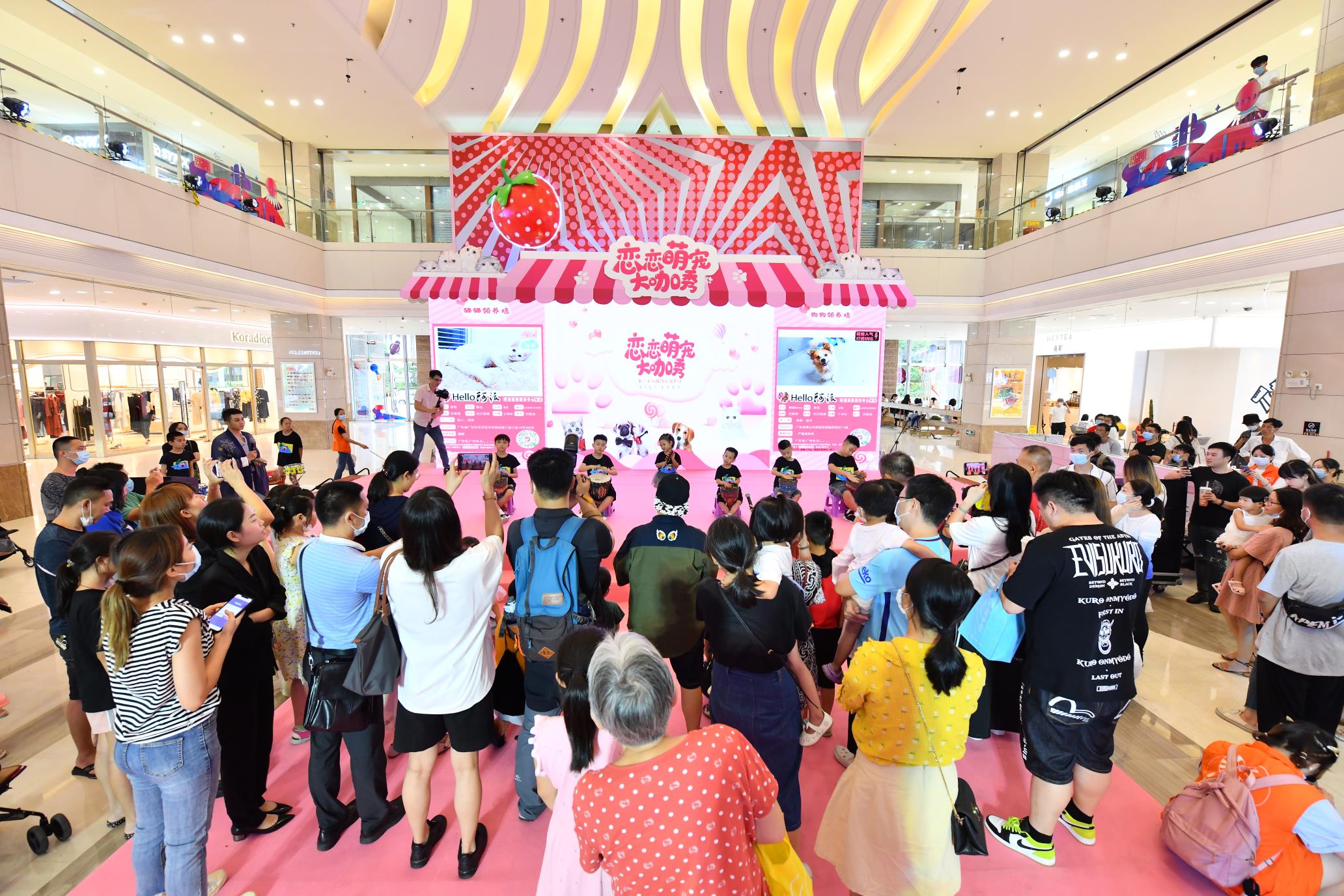 2021CPF重庆宠物展：让领养代替购买不再是空谈