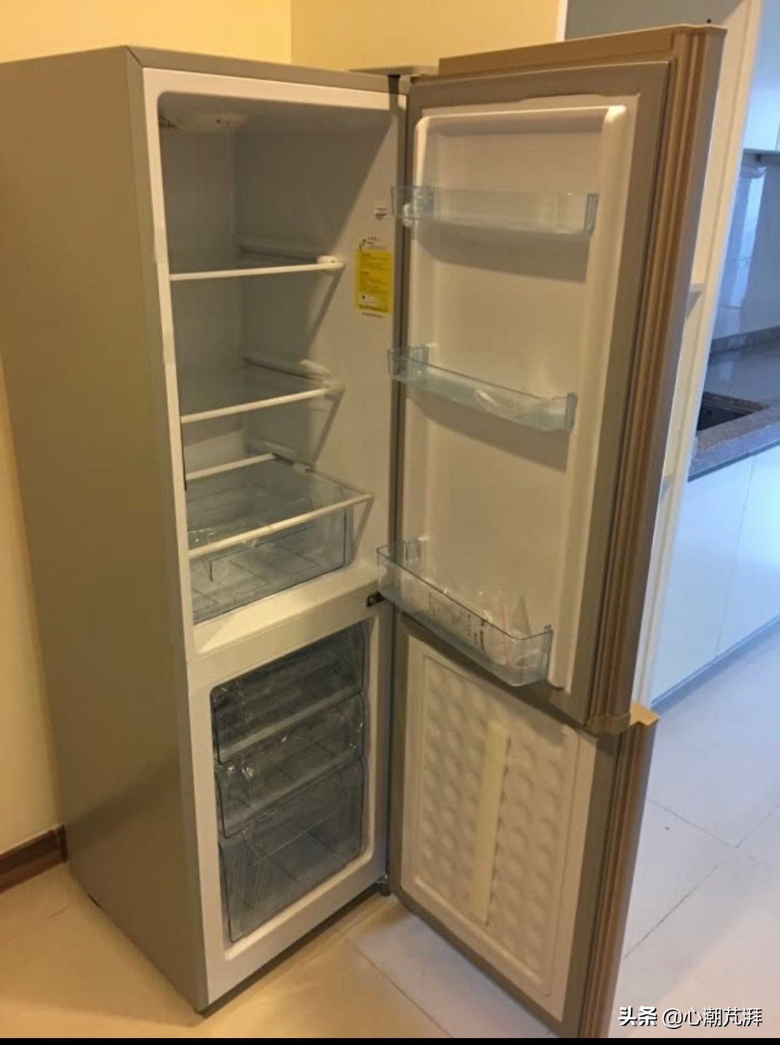 冰箱的选购技巧和购买渠道,冰箱值得买的品牌及型号