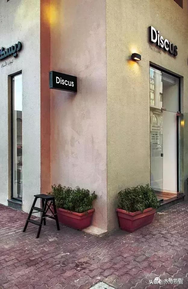 七彩神仙鱼水族箱布景,七彩神仙鱼苗繁殖技术