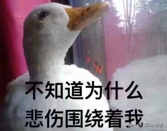 你听说过“軃神”吗?泸州经典老方言,写出来却很多人不认识