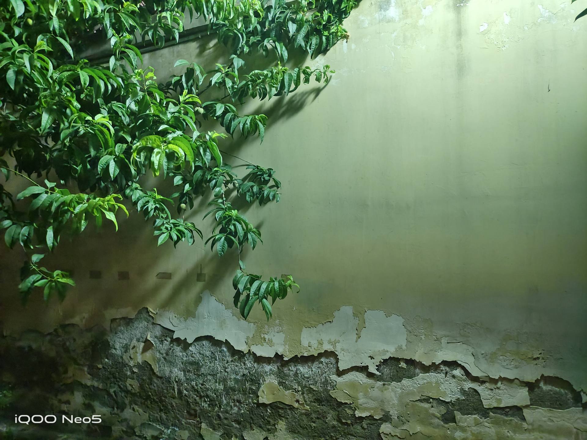 iqooneo5与iqooneo5se区别,iqooneo5实际体验