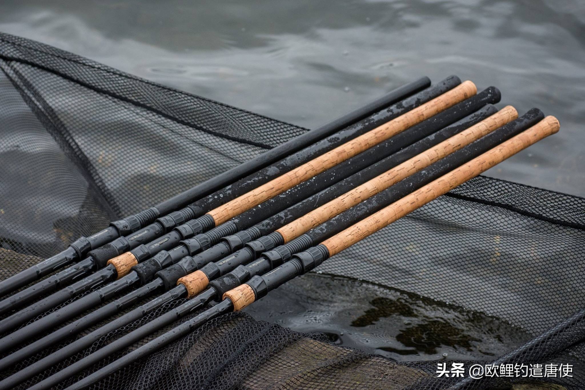 欧鲤钓鱼竿杆包,欧鲤钓竿的选择