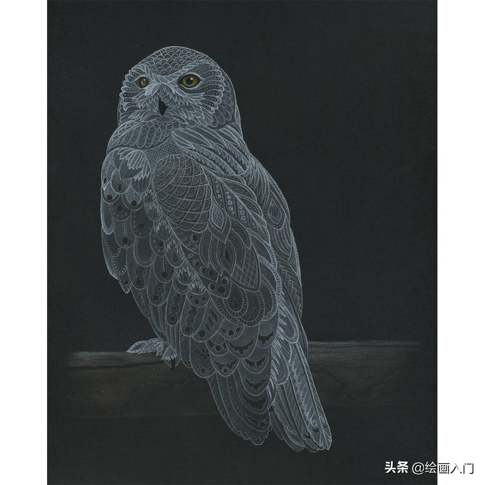 复古气息的几何图形插画,插画师的动物花卉水彩插画作品