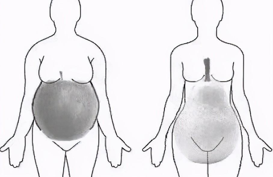 上半身胖怎么减肉最快最有效,腿臀脂肪较多如何减