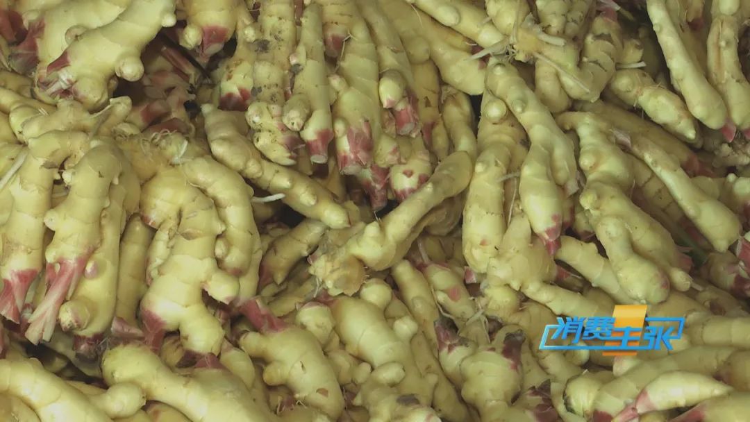 大量精品生姜出售,今日鲜姜收购价格