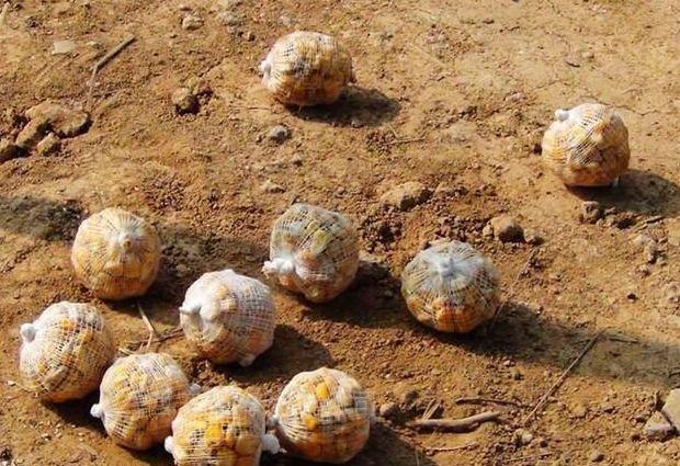 钓鱼打窝怎么打最好,钓鱼打窝怎么打比较好