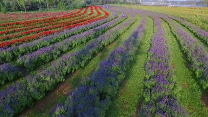 新时代中的煤都抚顺,将煤都抚顺变成绿色抚顺