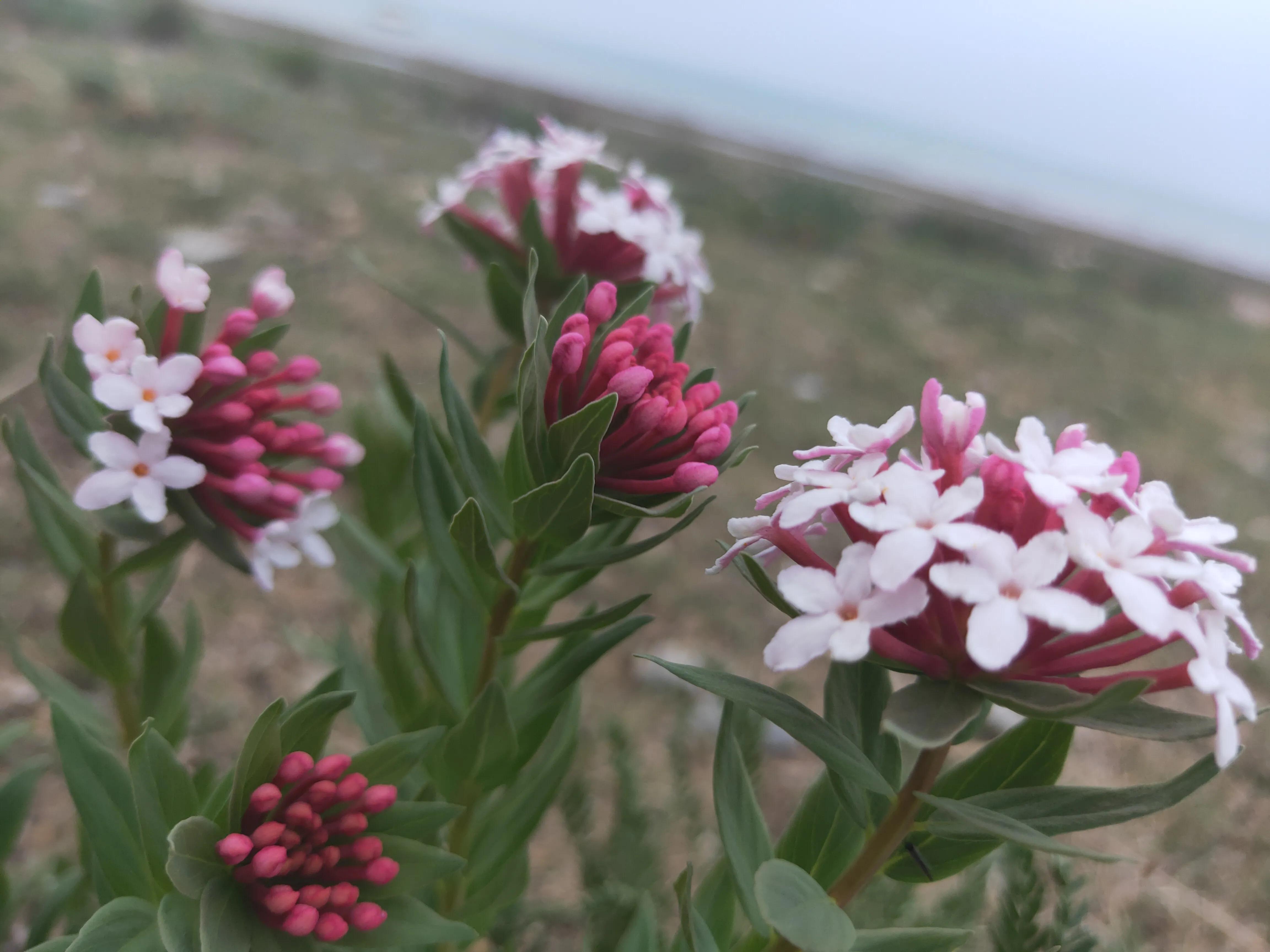圣藏之旅第四日——思考蜕变之旅的真实意义