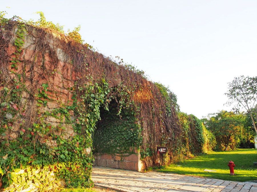 沙家浜景区大闸蟹在哪里,秋天爱上上海的理由大闸蟹