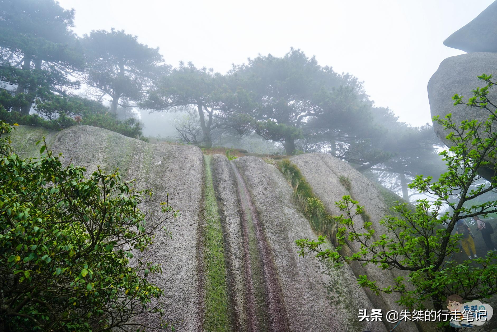 为什么称安徽九华山,安徽被誉为天下奇山