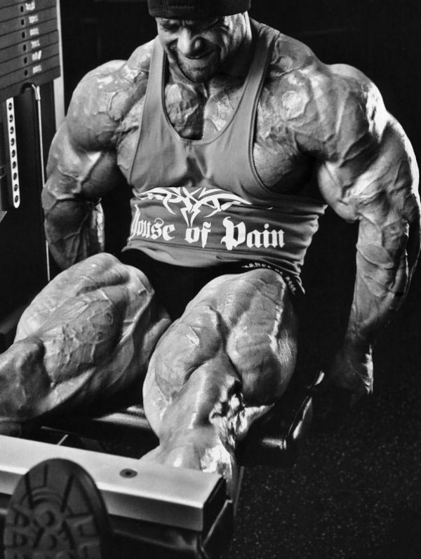 坐姿腿屈伸可以练到臀吗,坐姿腿屈伸主要练哪块肌肉