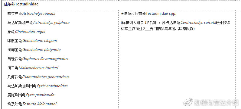 匠志萌宠乐园教学,匠志萌宠