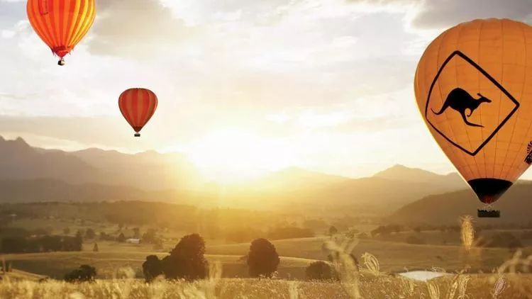 寻找幸运锦鲤活动在哪,寻找锦鲤