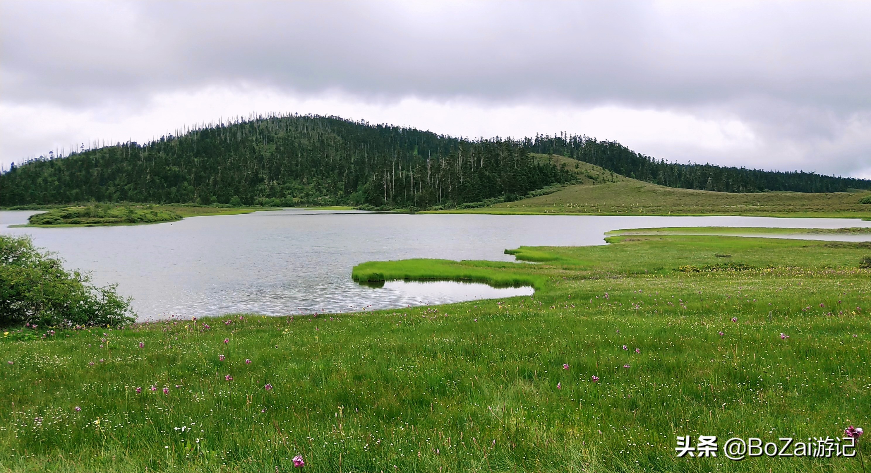 云南迪庆有哪些旅游景点,迪庆最值得去的景点有哪些地方