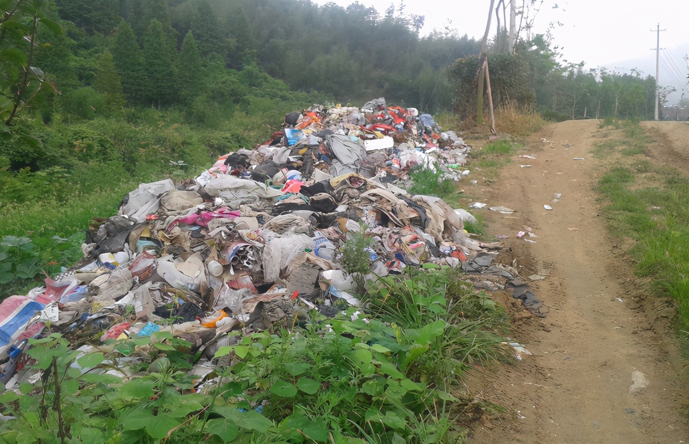 新时代农村生态环境保护,农村生态环境存在的问题及对策