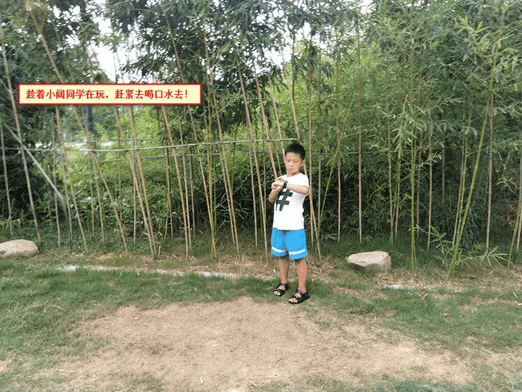 360儿童手表p1pro和9xpro的区别,360儿童手表p1pro与9xpro区别