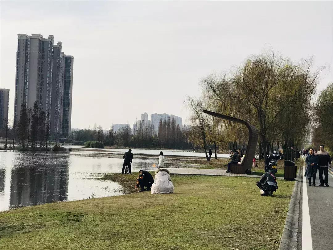 未来的新都,看一下新都的二手房